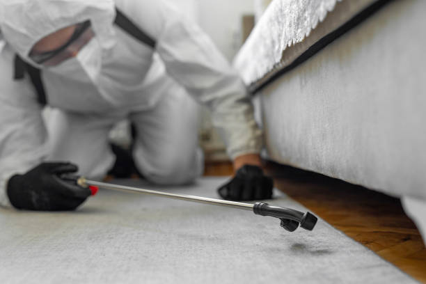 Professional Cockroach Control technician working in Lyons, WI